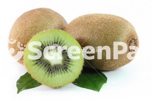 Kiwi Fruit Isolated